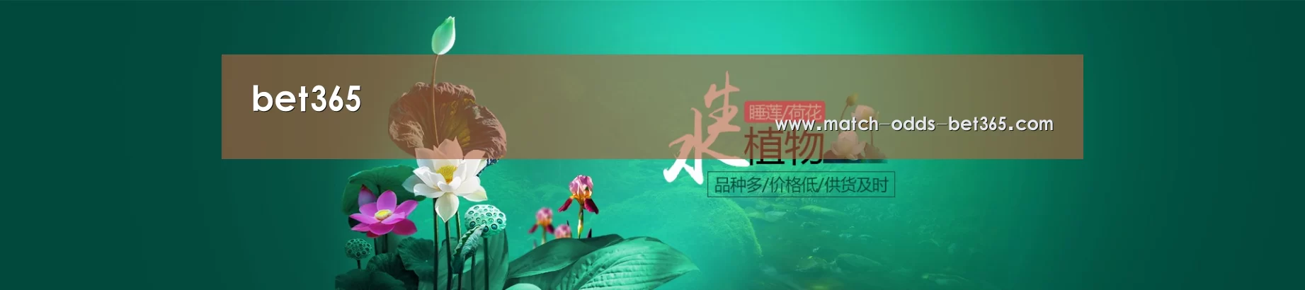 鲜花水草花卉网站模板